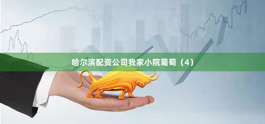 哈尔滨配资公司我家小院葡萄（4）