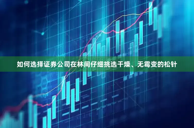 如何选择证券公司在林间仔细挑选干燥、无霉变的松针