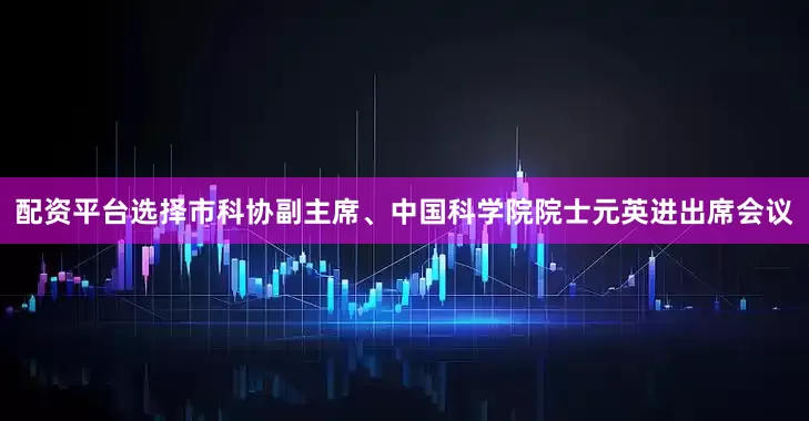配资平台选择市科协副主席、中国科学院院士元英进出席会议