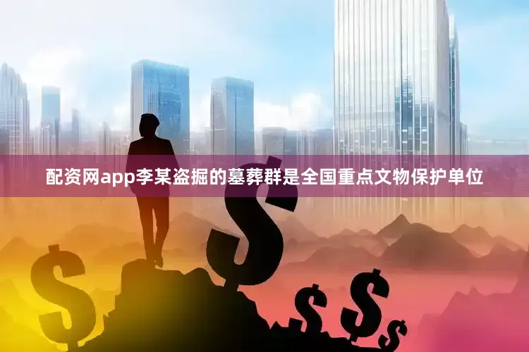 配资网app李某盗掘的墓葬群是全国重点文物保护单位